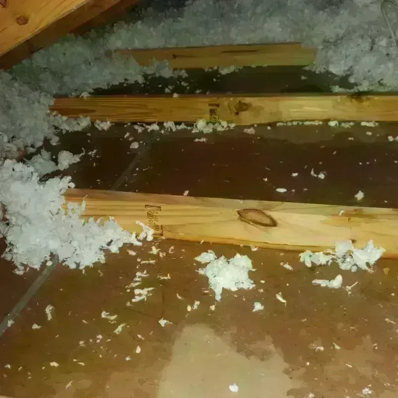 Attic Water Damage in Spearman, TX