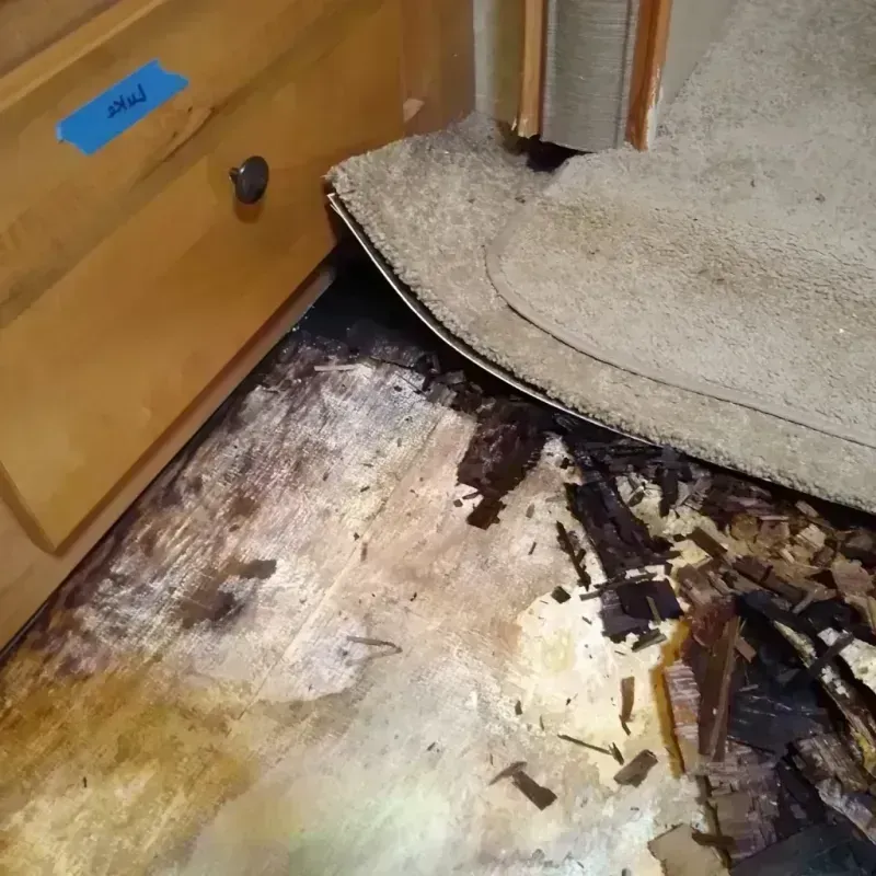 Wood Floor Water Damage in Spearman, TX